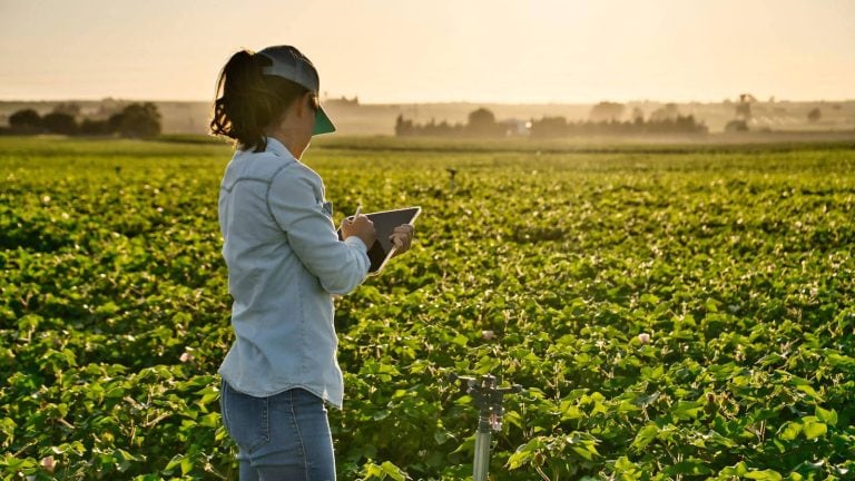 Neue Perspektiven für Landwirte: Anstehende Seminare zur beruflichen Bildung